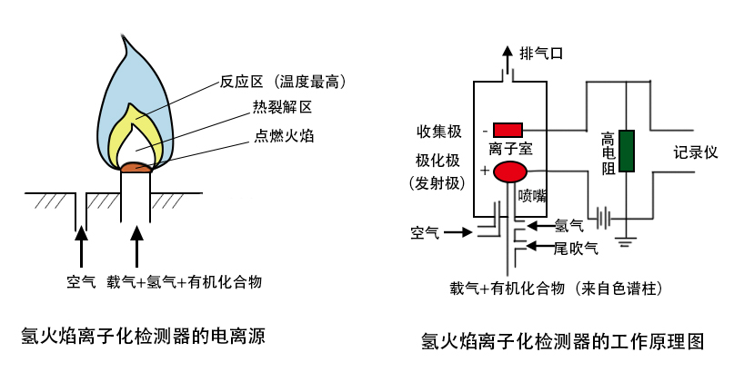 FID檢測原理